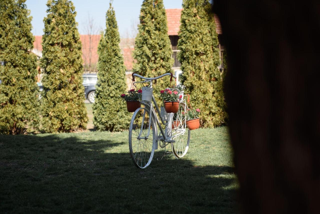 수보티차 Dumalux Garden 아파트 외부 사진